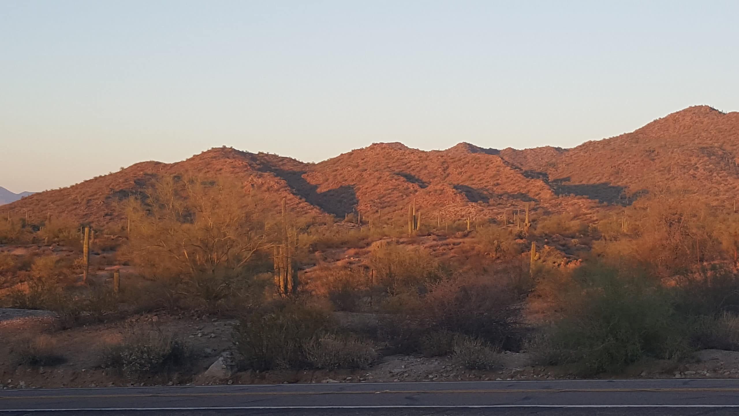 Mesa, AZ scenery